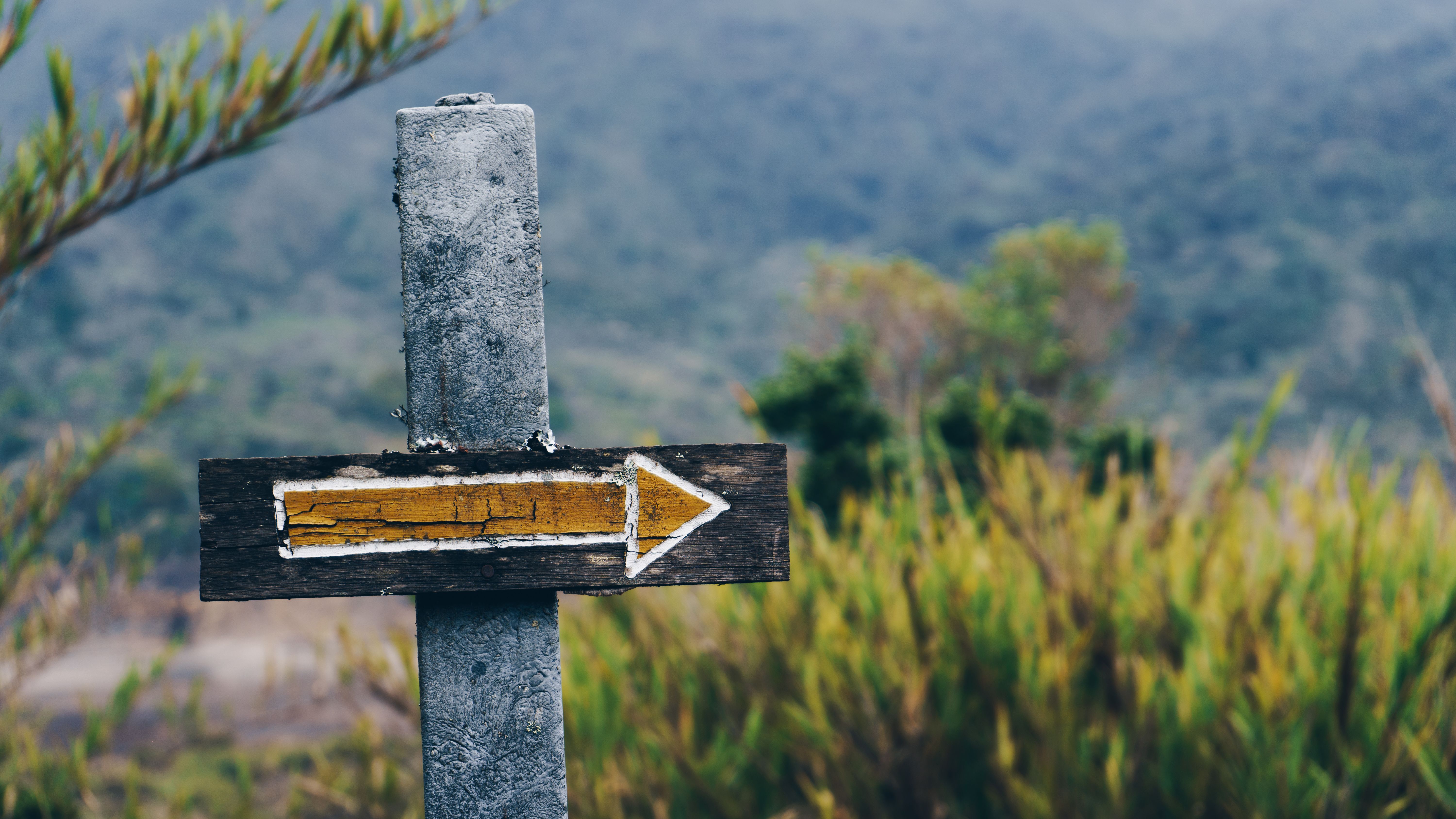 Tactical marketing for chemical companies